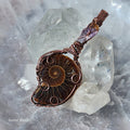 Ammonite with Ametrine in Vintage Copper