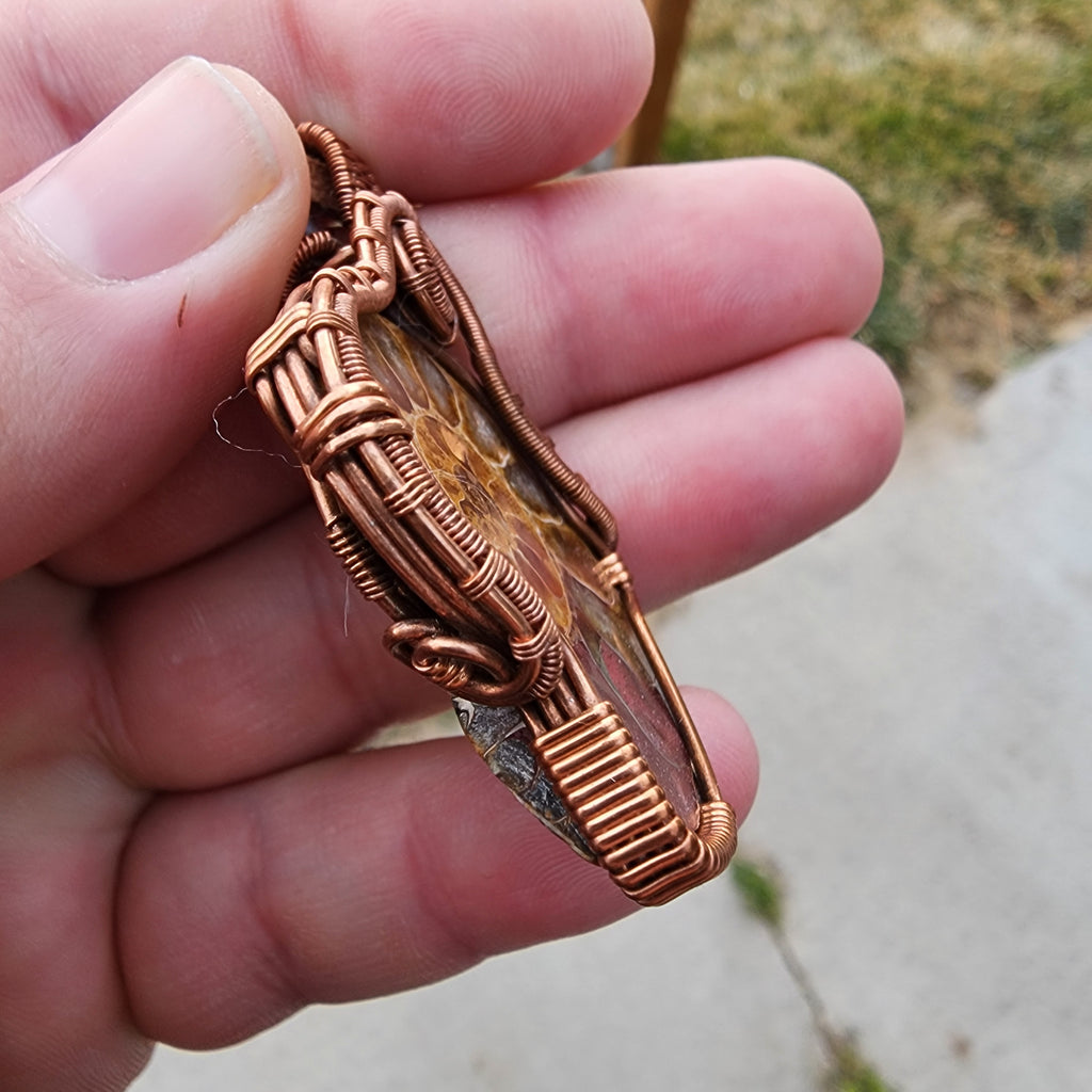 Ammonite Fossil with Vintage Copper