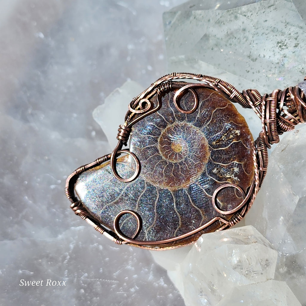 Ammonite with Ametrine in Vintage Copper