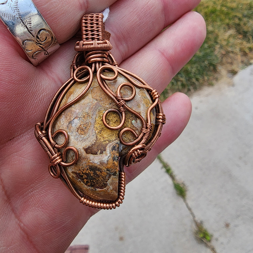 Ammonite Fossil with Vintage Copper